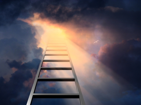 Slightly Obsessed #051: The Ladder Called Life