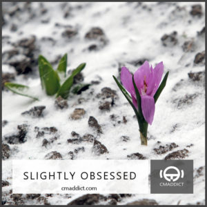 Slightly Obsessed #231: Suddenly