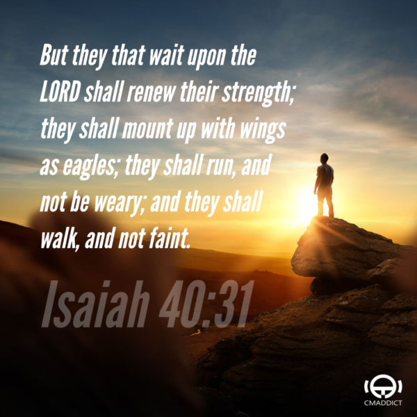 But they that wait upon the LORD shall renew their strength; they shall mount up with wings as eagles; they shall run, and not be weary; and they shall walk, and not faint. – Isaiah 40:31