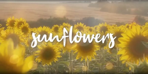 Sunflowers – Kurtis Hoppie x Vito OT x Spencer Boliou (Official Lyric Video)