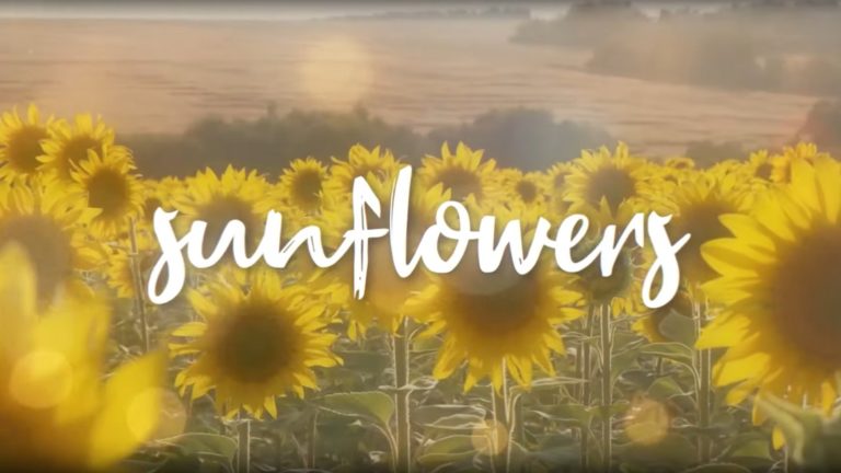 Sunflowers – Kurtis Hoppie x Vito OT x Spencer Boliou (Official Lyric Video)