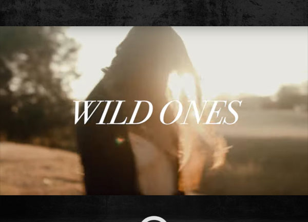 Rachael Lampa – The Wild Ones (Official Lyric Video)