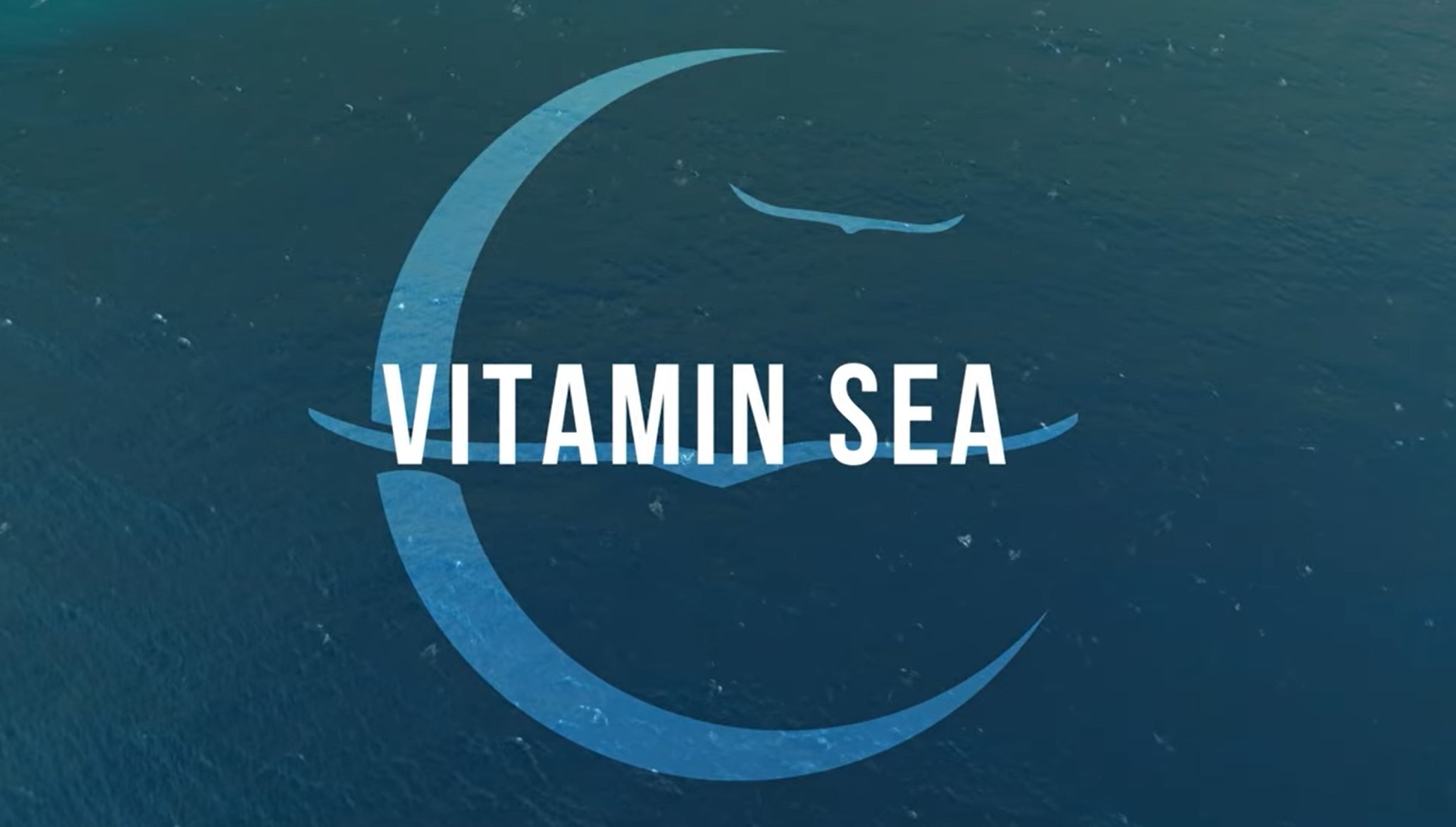 Owl City – Vitamin Sea (Official Lyric Video)