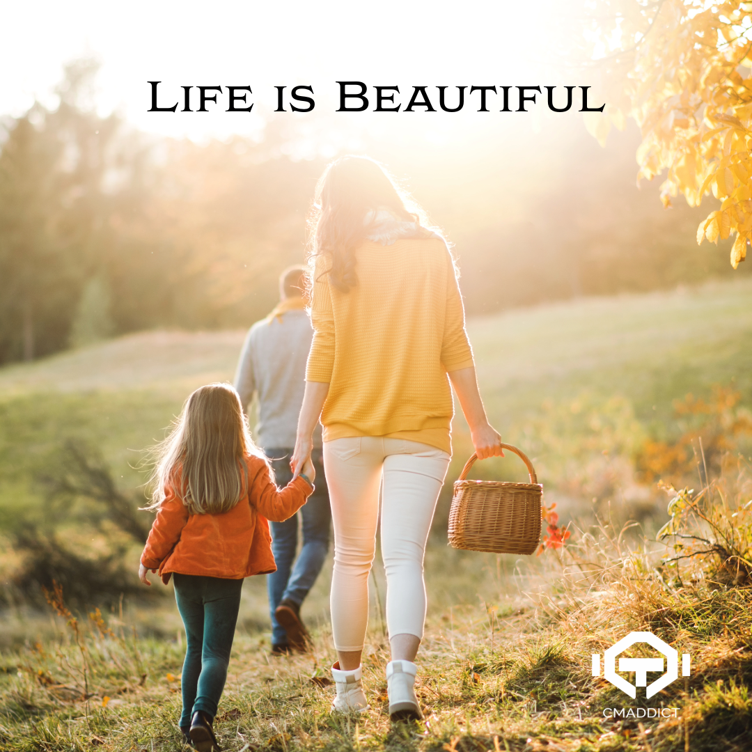 Life is beautiful – The Picnic