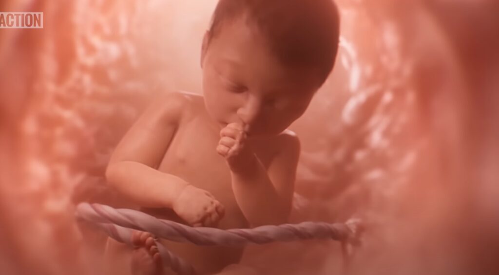 A Never Before Seen Look At Human Life In The Womb | Baby Olivia